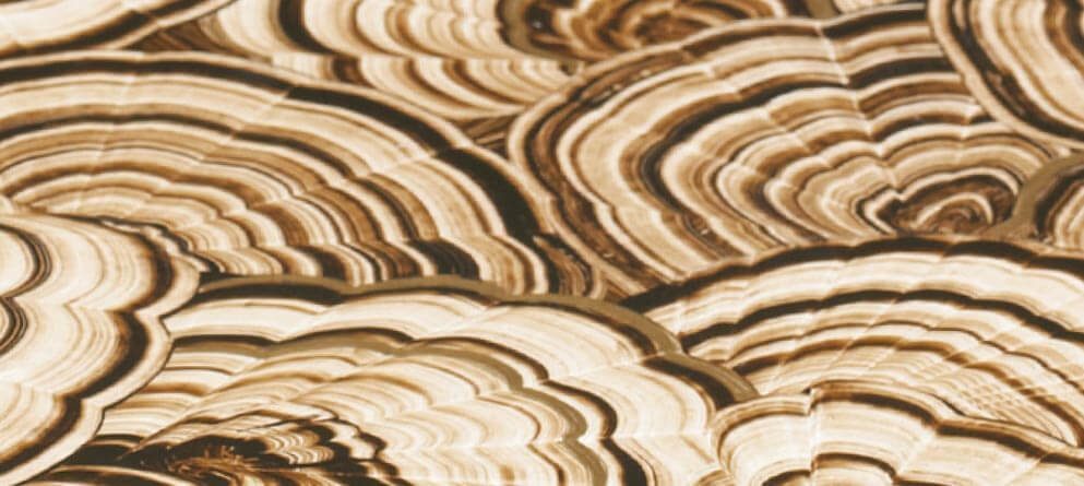 hand decoration at Hickory White