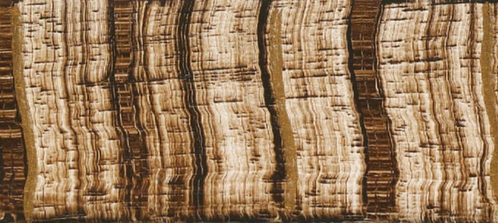 hand decoration at Hickory White