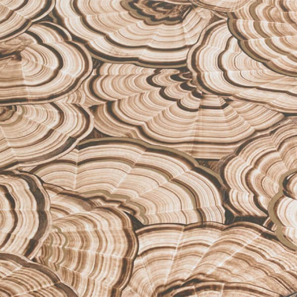 hand decoration at Hickory White