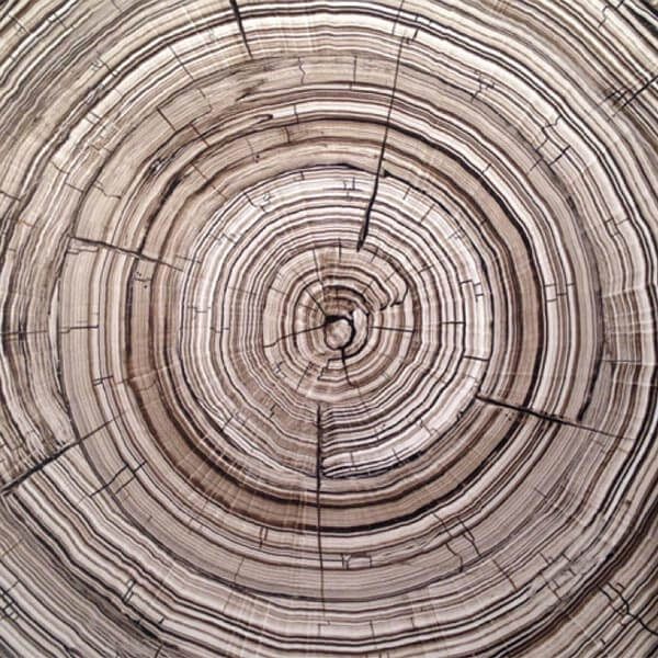 hand decoration at Hickory White