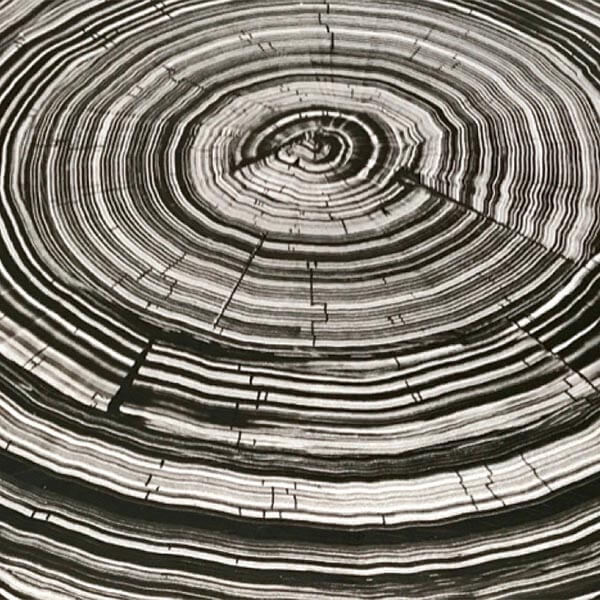 hand decoration at Hickory White